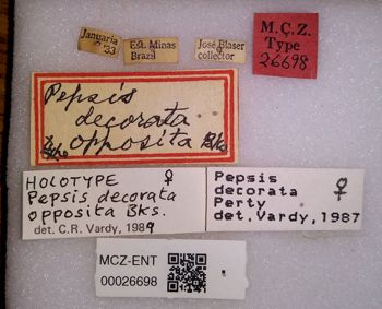 Media type: image;   Entomology 26698 Aspect: labels